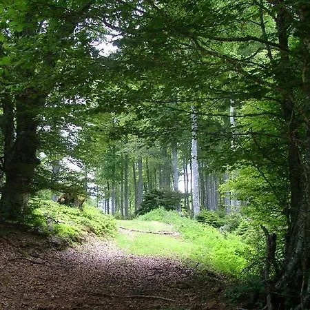 Szálloda Cafe Les Fleurs Argelès-Gazost