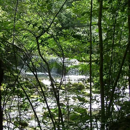 Cafe Les Fleurs 2* Argelès-Gazost