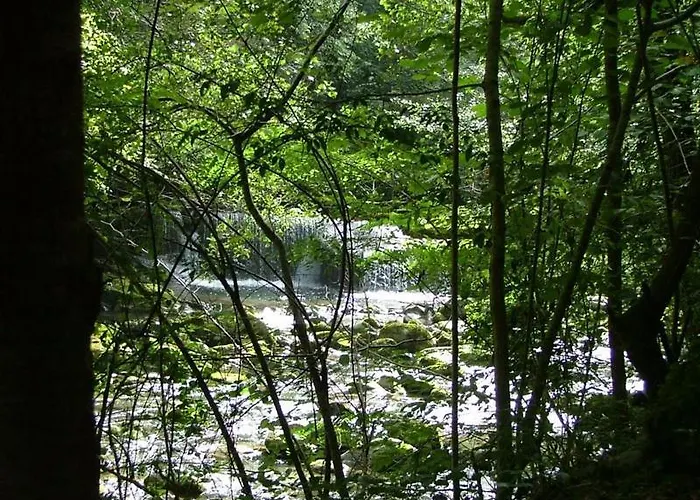 Cafe Les Fleurs 2* アルジュレス・ガゾスト